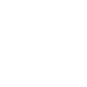 fingerprint icon